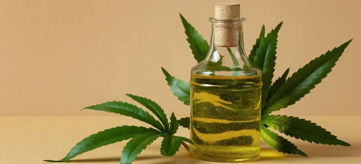Huile de chanvre CBD en cosmétique : quels bienfaits pour une peau sensible et sujette aux inflammations ?