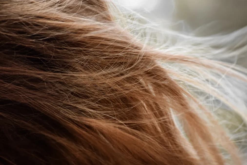 Huile de ricin pour cheveux : comment l’utiliser pour stimuler pousse et épaissir sourcils