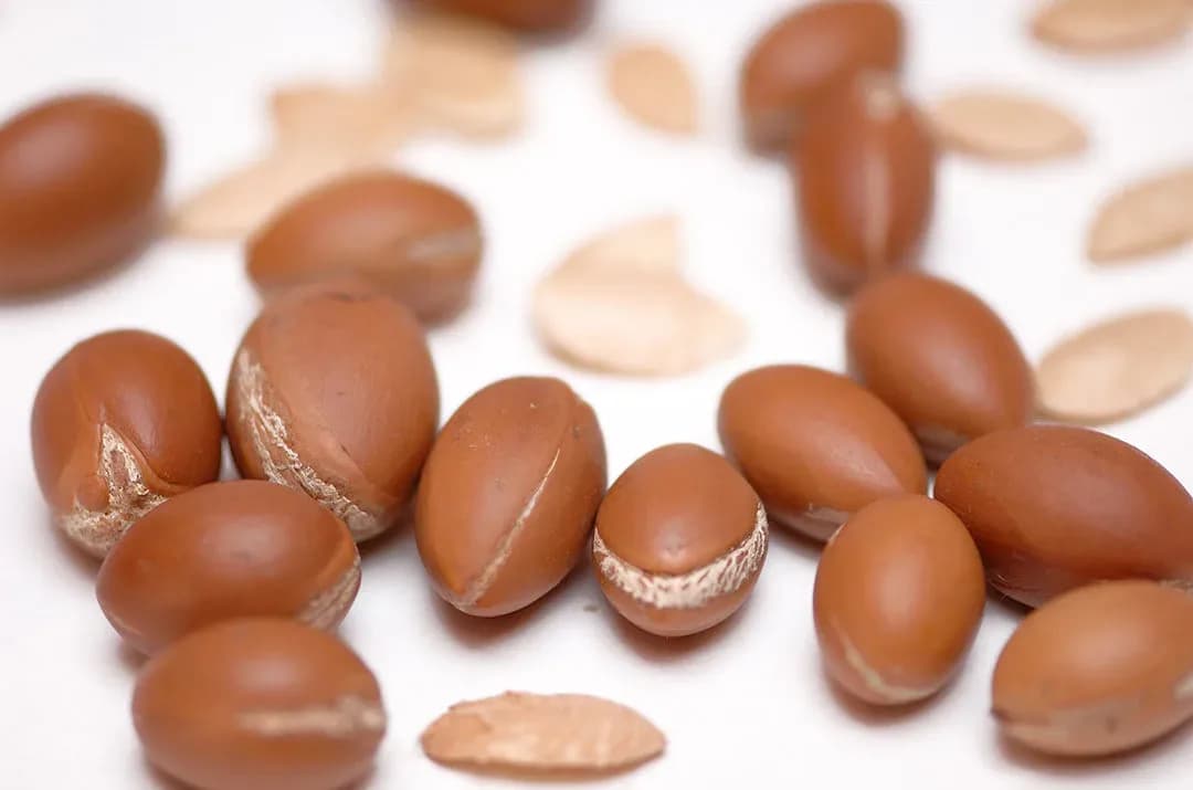 Huile d'argan pour la peau : ses propriétés antioxydantes et comment l'utiliser