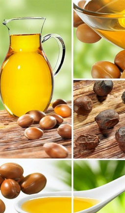 Argan du MAroc